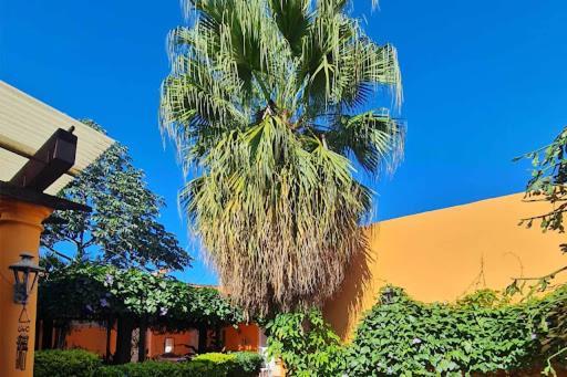 Hostal Paradiso Asunción Zewnętrze zdjęcie